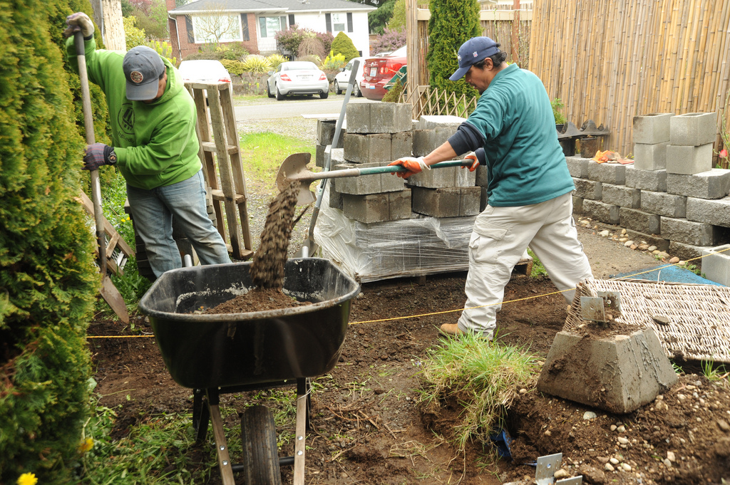 landscaping