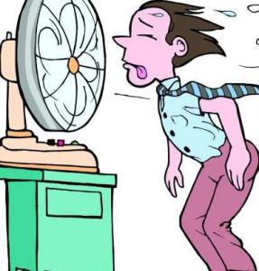 fan