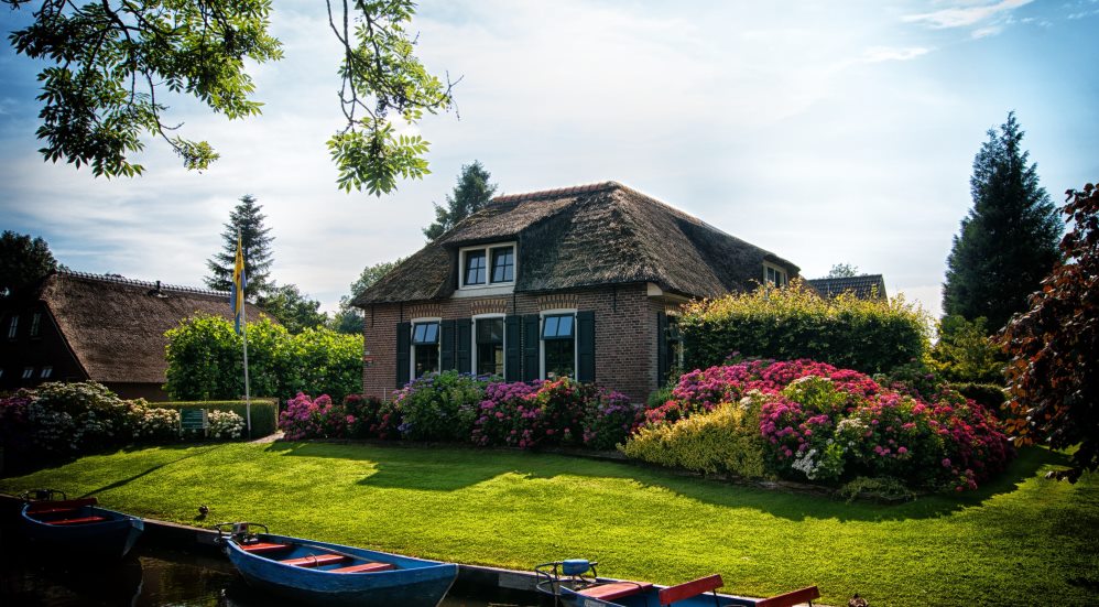 green lawn